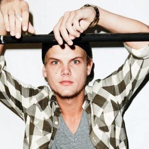 Artwork for Wake Me Up by Avicii, a record associated with FL Studio